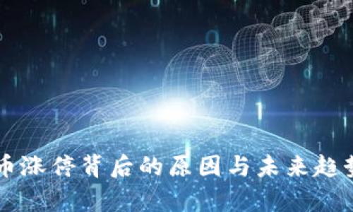 虚拟币涨停背后的原因与未来趋势解析