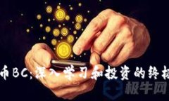 虚拟币BC：深入学习和投资