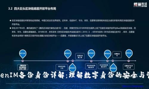 TokenIM备份身份详解：理解数字身份的安全与管理