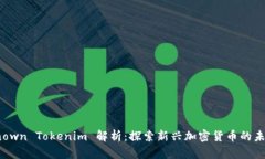 KickUnknown Tokenim 解析：探索