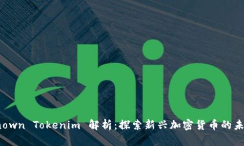 KickUnknown Tokenim 解析：探索新兴加密货币的未来与机会