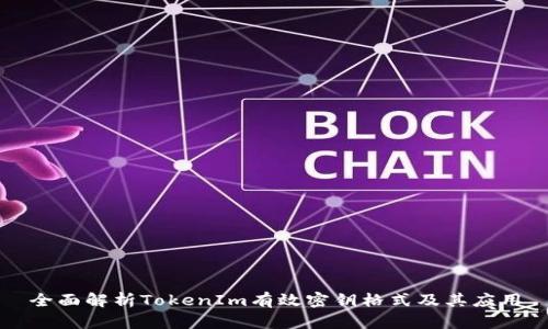 全面解析TokenIm有效密钥格式及其应用