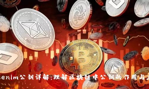 Tokenim公钥详解：理解区块链中公钥的作用与应用