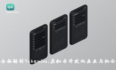 全面解析Tokenim：虚拟币开发的未来与机会