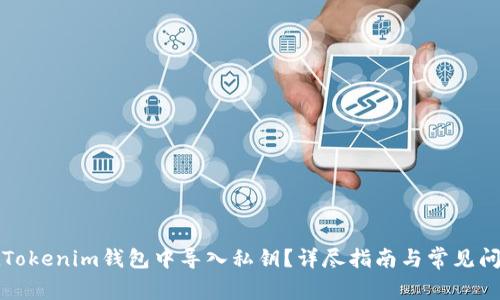 如何在Tokenim钱包中导入私钥？详尽指南与常见问题解答