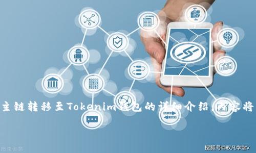 言语风格  
为了保证良好的阅读体验，这里将提供一个关于FSC主链转移至Tokenim钱包的详细介绍。内容将主题明确，涵盖必要的背景知识、步骤和注意事项。  

轻松转移FSC主链至Tokenim钱包的逐步指南