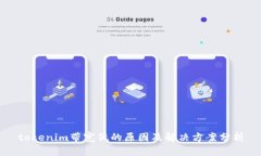 tokenim带宽低的原因及解决方案分析