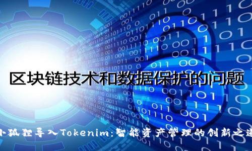 小狐狸导入Tokenim：智能资产管理的创新之道
