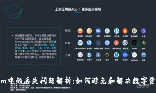 xe  
  Tokenim中的丢失问题解析：如何避免和解决数字资产的风险
