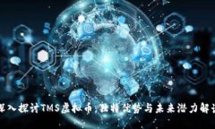 深入探讨TMS虚拟币：独特优势与未来潜力解读