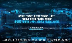 虚拟币CCN：新时代加密货币的创新之选