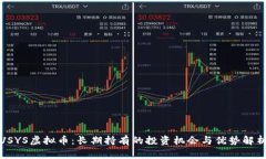 VSYS虚拟币：长期持有的投资机会与优势解析