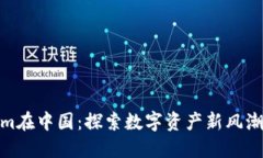 Tokenim在中国：探索数字资产新风潮与机遇