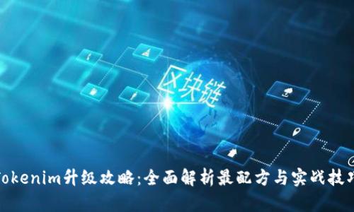 Tokenim升级攻略：全面解析最配方与实战技巧