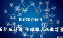 Tokenim钱包国际版详解：全球用户的数字资产安全