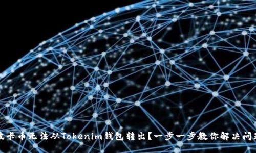 波卡币无法从Tokenim钱包转出？一步一步教你解决问题