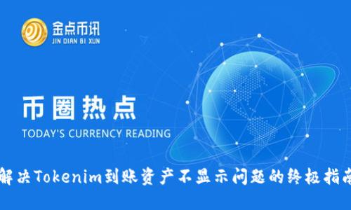 解决Tokenim到账资产不显示问题的终极指南