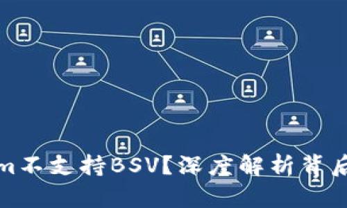 为什么Tokenim不支持BSV？深度解析背后的原因与影响