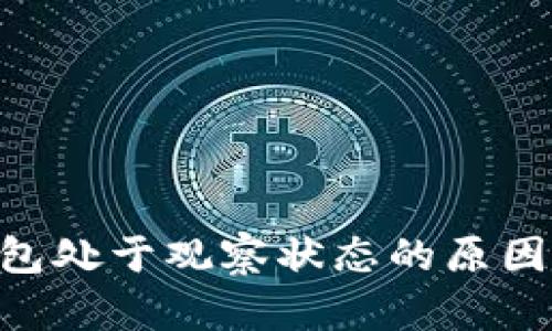 Tokenim钱包处于观察状态的原因及解决方案