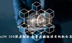 TokenIM ICO深度剖析：投资区块链项目的机会与风险