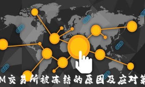 
TokenIM交易所被冻结的原因及应对策略解析