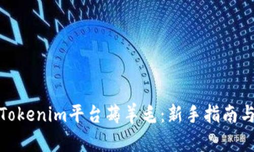 如何通过Tokenim平台薅羊毛：新手指南与实战经验