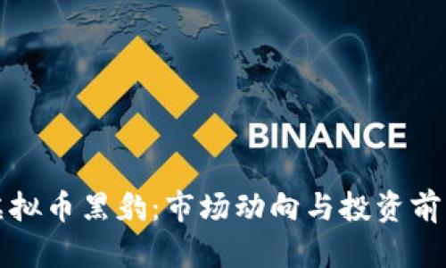 探索虚拟币黑豹：市场动向与投资前景分析