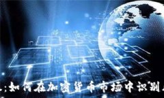   虚拟币雷暴：如何在加密货币市场中识别风险与