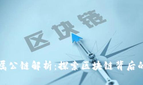 虚拟币的所属公链解析：探索区块链背后的技术与价值