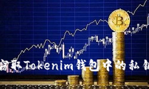 恶意程序如何窃取Tokenim钱包中的私钥及其防范措施