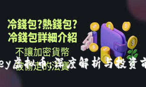 Exmoney虚拟币：深度解析与投资前景分析
