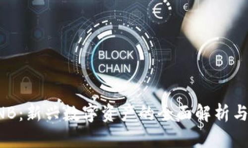 虚拟币XNB：新兴数字资产的全面解析与投资机会