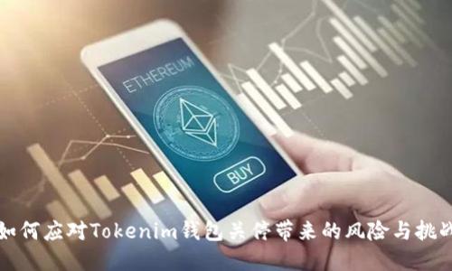 如何应对Tokenim钱包关停带来的风险与挑战
