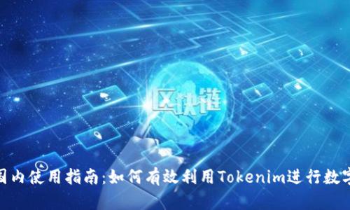 Tokenim国内使用指南：如何有效利用Tokenim进行数字货币交易