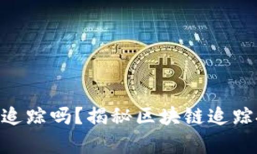 Tokenim能追踪吗？揭秘区块链追踪技术的真相