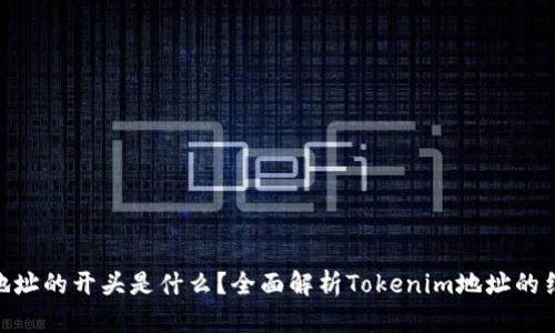 Tokenim地址的开头是什么？全面解析Tokenim地址的结构与功能