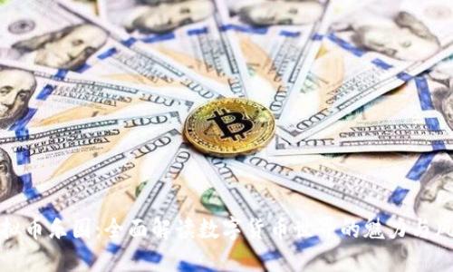 虚拟币乐园：全面解读数字货币世界的魅力与风险