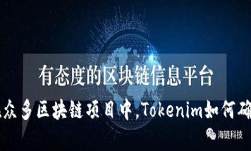 Tokenim兼容性分析：在众多区块链项目中，Tokenim如何确保与主流系统的兼容性